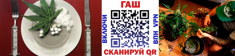 Cannafood конопля  Купить закладки  Александров 