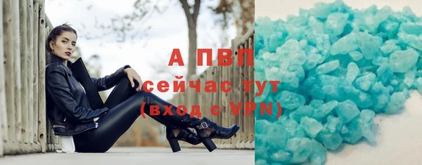 крисы Корсаков