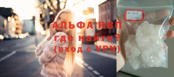 крисы Корсаков