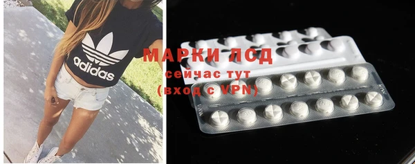 крисы Корсаков