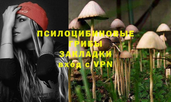 apvp Краснотурьинск