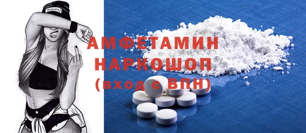 крисы Корсаков