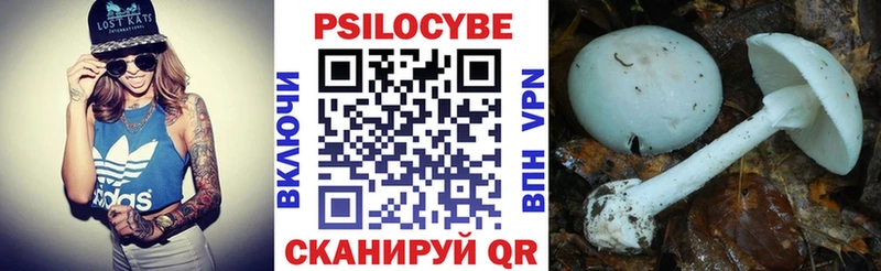 Купить закладки Александров Галлюциногенные грибы Magic Shrooms
